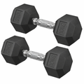 Ensemble de 2 Haltères Hexagonaux de 10kg, Adapté à l'Entraînement chez vous !